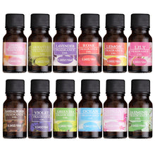 Load image into Gallery viewer, Water-soluble Flower Fruit Essential Oil Relieve Stress for Humidifier Fragrance Lamp Air Freshening Aromatherapy Body Oil TSLM1